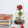 Limited Edition Red Rose with LEDs - On Sale!